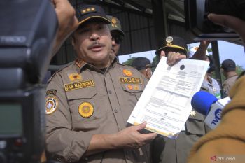 Kementan: NTT pemasok sapi terbesar Indonesia