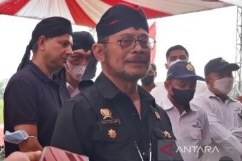 Mentan: Indonesia segera mengekspor beras ke tiga negara