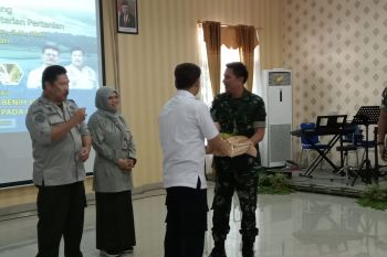 TNI AU  kembangkan tanaman jagung di NTT