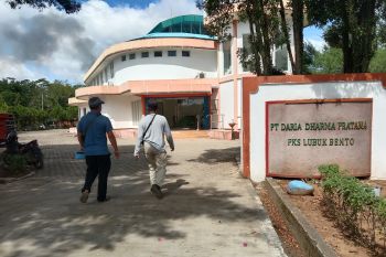 Distan Mukomuko usul pembenahan sistem penetapan harga sawit