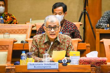 Kemenperin olah darah sapi jadi pupuk organik cair