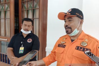11 hektare lahan di Siak terbakar selama 2022