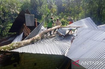 Kerap dilanda hujan disertai angin kencang, warga Solok Selatan diimbau waspadai bencana hidrometeorologi
