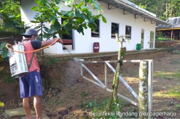 Pemkab Kulon Progo mendapatkan alokasi 300 dosis vaksin PMK