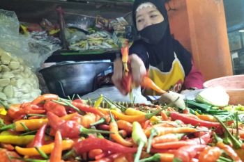 Harga cabai rawit tembus Rp120.000 per kilogram