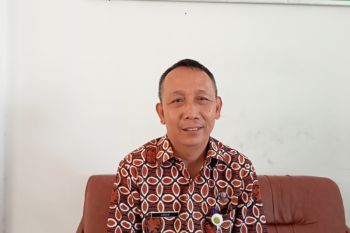 Bantul mendapatkan alokasi 300 dosis vaksin penyakit mulut dan kuku