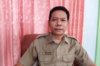 Manggarai Barat dorong pengembangan pangan non-beras