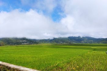 Manggarai Barat dorong poktan lakukan rehabilitasi sumber air