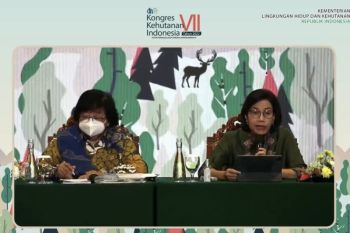 Menkeu: Kontribusi kehutanan terhadap ekonomi hanya 0,66 persen