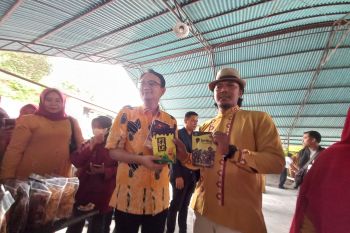 Pemerintah RI dukung UMKM Agam berkembang hingga mancanegara