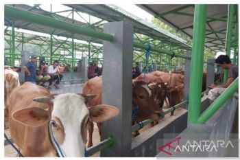 Lampaui target, program berkurban Kanwil Kemenag Sultra 2022