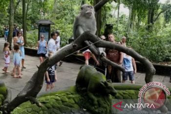 Ada wisata alami dan "wisata obat" di Ubud