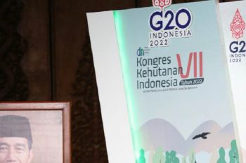 Pemanfaatan hutan berkelanjutan jadi solusi perubahan iklim