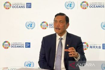 Luhut jelaskan audit perkebunan bantu perbaiki tata kelola industri sawit
