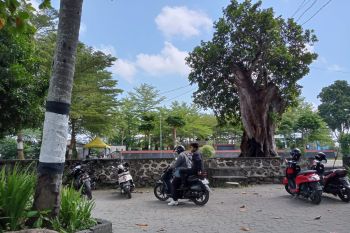 Pemkot Mataram mengusulkan anggaran Rp114 miliar untuk tata Taman Udayana