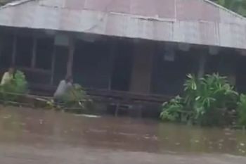 Banjir rendam puluhan rumah warga di Sumba Timur