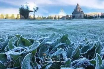 Fenomena embun beku muncul di Dataran Tinggi Dieng Banjarnegara