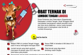 Wabah PMK, obat ternak di Lombok Tengah langka