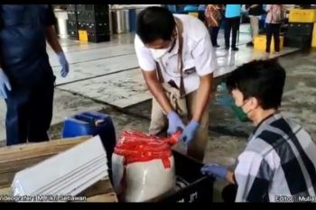 BPOM ungkap dua pabrik tahu gunakan formalin di Parung Bogor