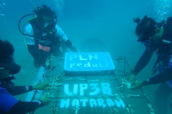 PLN merehabilitasi terumbu karang tiga gili di Lombok Timur