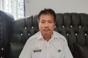 DPKH : Penjualan sapi Sinjai menurun akibat PMK