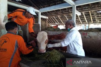Pemkab Karanganyar canangkan percepatan vaksinasi sapi cegah PMK