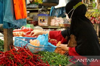 TPID: Harga cabai dan telur penyumbang inflasi terbesar di Kepri