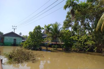 BPBD taksir kerugian akibat banjir di Bengkulu capai Rp2,5 miliar