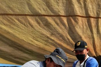 Pemkab OKU pastikan hewan kurban tidak terpapar PMK