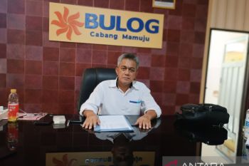 Bulog Mamuju jamin stok kebutuhan pokok jelang Idul Adha