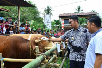 Sulsel memperketat pengecekan kelayakan hewan kurban