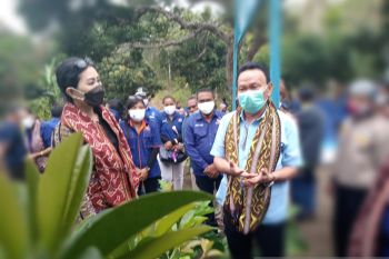 Dekranasda apresiasi dua peserta NTT jadi duta wisata nasional