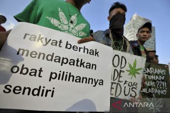Kepala BNN beri tanggapan soal legalisasi ganja untuk medis di Indonesia