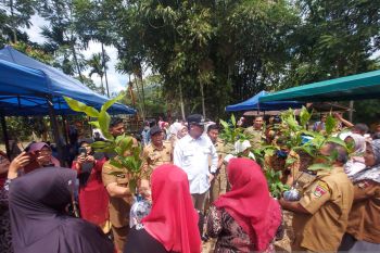 Pemkot Bukittinggi serahkan 20.000 bibit buah kepada warga