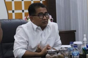 Pemprov Sulbar akan tanam 1,2 juta anakan mangrove
