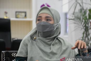 NTB siap menjadi wilayah proyek percontohan energi hijau di Indonesia