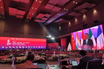 Minister asks G20 nations to support global economic recovery