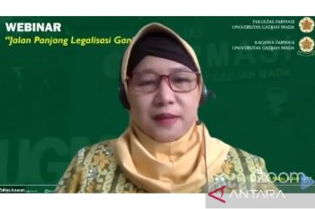 Meski untuk tujuan medis, Guru Besar UGM usulkan ganja tidak dilegalisasi