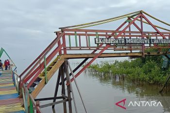 Pemkot Makassar jadikan Hutan Bakau salah satu unggulan program lorong wisata