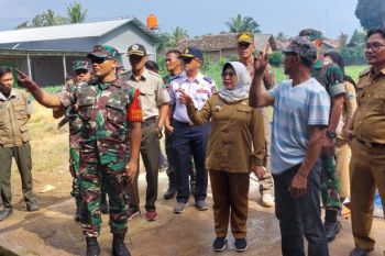 Lampung Selatan tanggap virus PMK, tim satgas lakukan vaksinasi hewan ternak