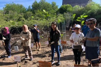 Kemenparekraf dukung pengurangan emisi karbon dengan tanam mangrove