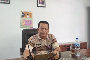 Lebih 100 lampu jalan bakal diganti jelang Festival Pacu Jalur