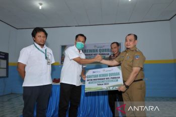 PT Antam Sultra salurkan bantuan hewan kurban