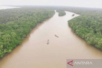 Sumsel bangun "ecopark" ganti alih fungsi hutan lindung Banyuasin