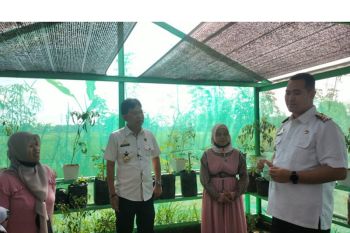 Bupati Pangkep berharap program pemberdayaan perempuan maksimal