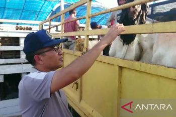 BKP awasi lokasi pemotongan hewan kurban di Kepri
