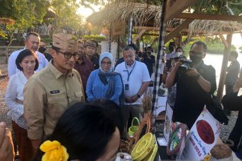 Kemenparekraf berikan atensi pelaku UMKM lokal di Buleleng