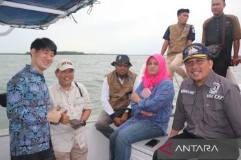Investor Singapura dan Korsel tertarik bisnis rumput laut di Kepri