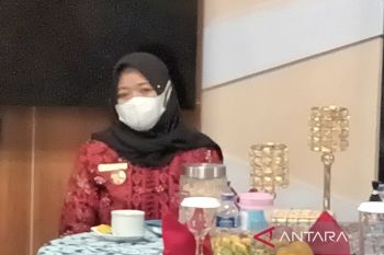 Sleman mendorong kelurahan berani menyertakan modal ke BUMDes