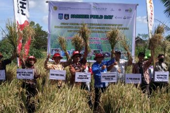 BPPP NTB meningkatkan kapasitas petani
